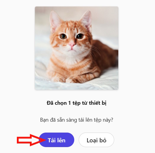 huong-dan-bien-anh-thanh-sticker-tren-microsoft-designer-03.jpg