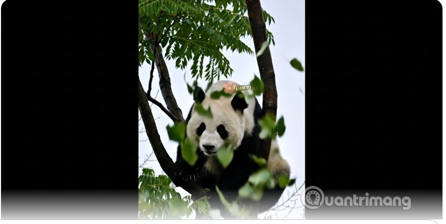 huong-dan-tao-video-gemini-ai-bang-google-veo-3-06.jpg