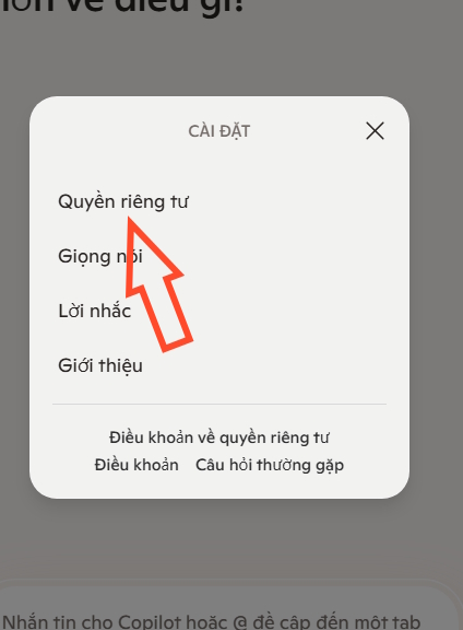 huong-dan-xoa-bo-nho-copilot-tren-may-tinh-06.jpg