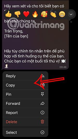 meo-su-dung-chatbot-ai-copilot-tren-telegram-07.jpg
