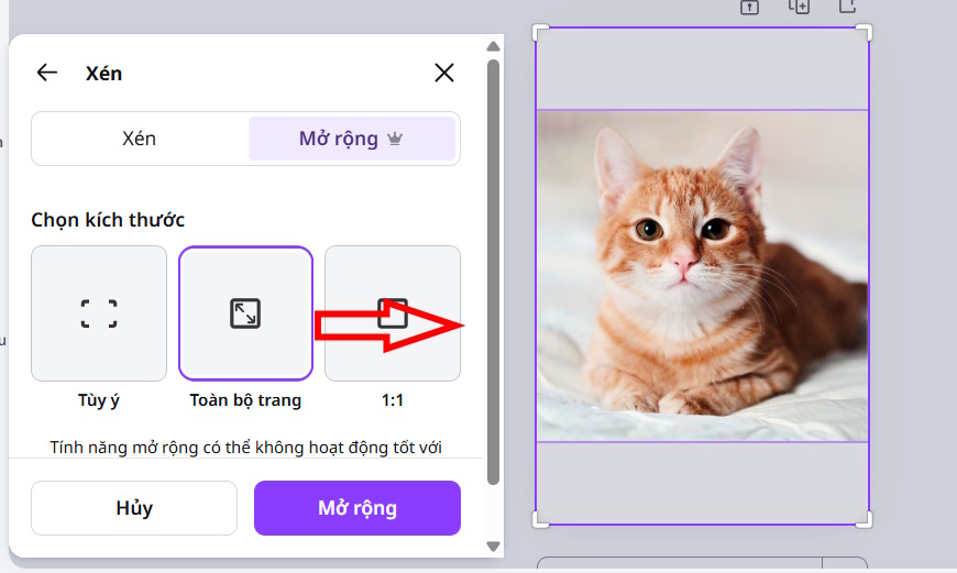 mo-rong-anh-sac-net-voi-magic-expand-tren-canva-ai-04.jpg