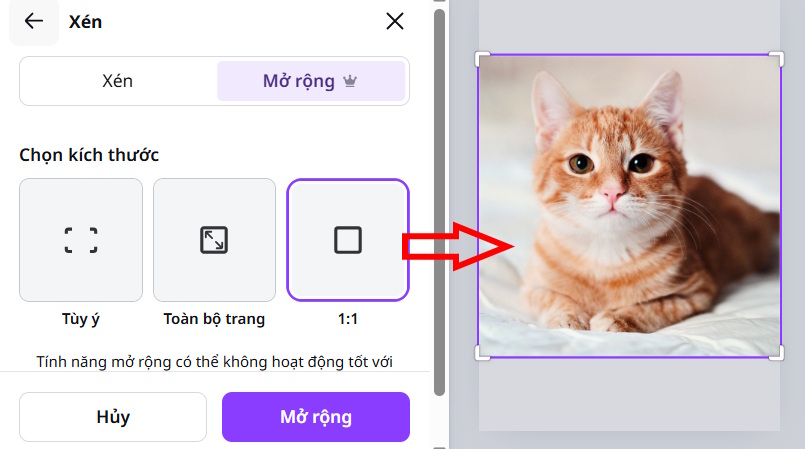 mo-rong-anh-sac-net-voi-magic-expand-tren-canva-ai-05.jpg