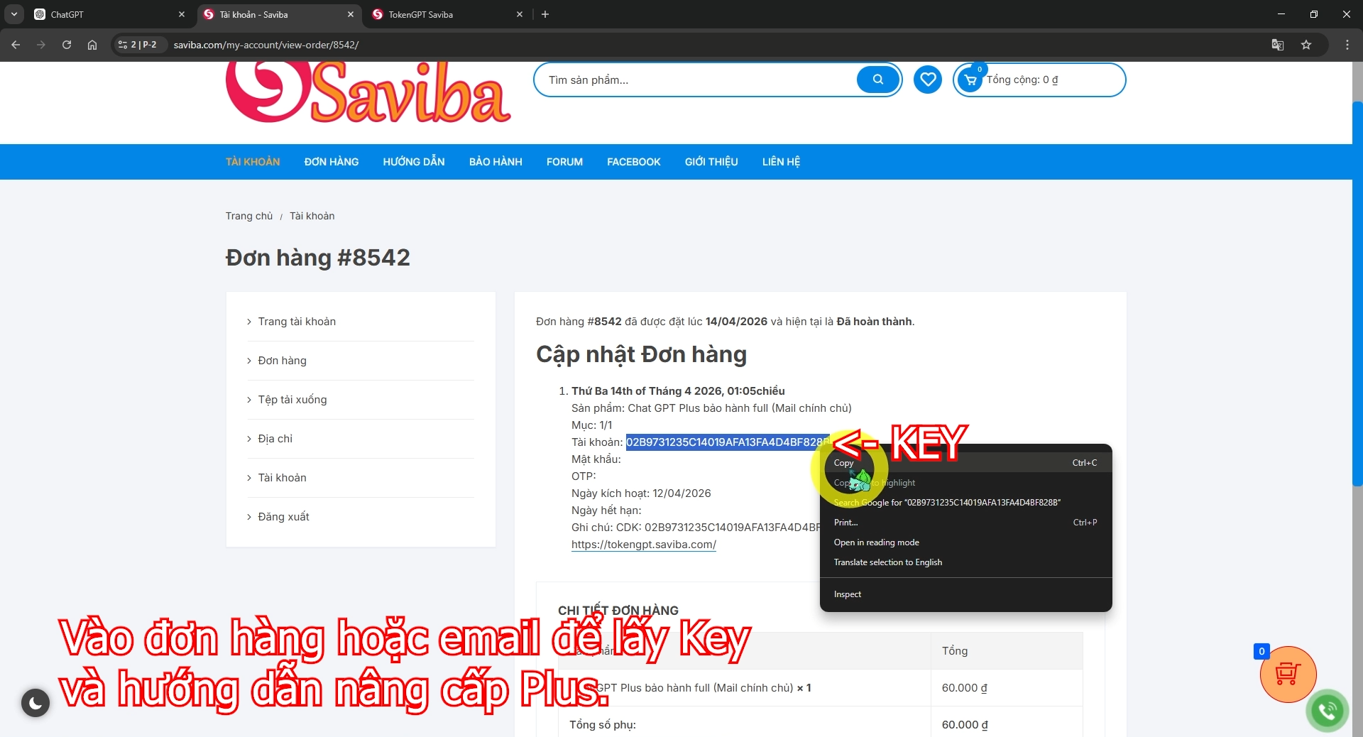 Saviba.com-GPT-Plus-Sieu-Re-001.png