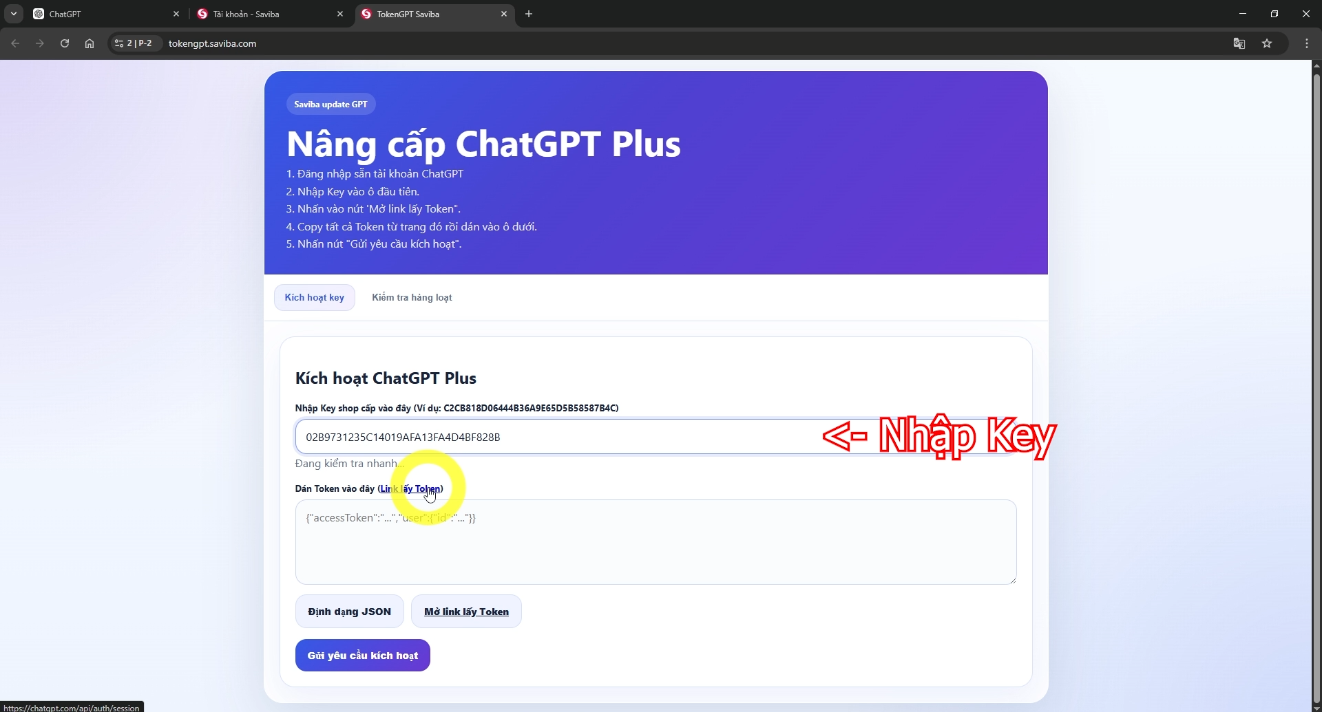 Saviba.com-GPT-Plus-Sieu-Re-002.png