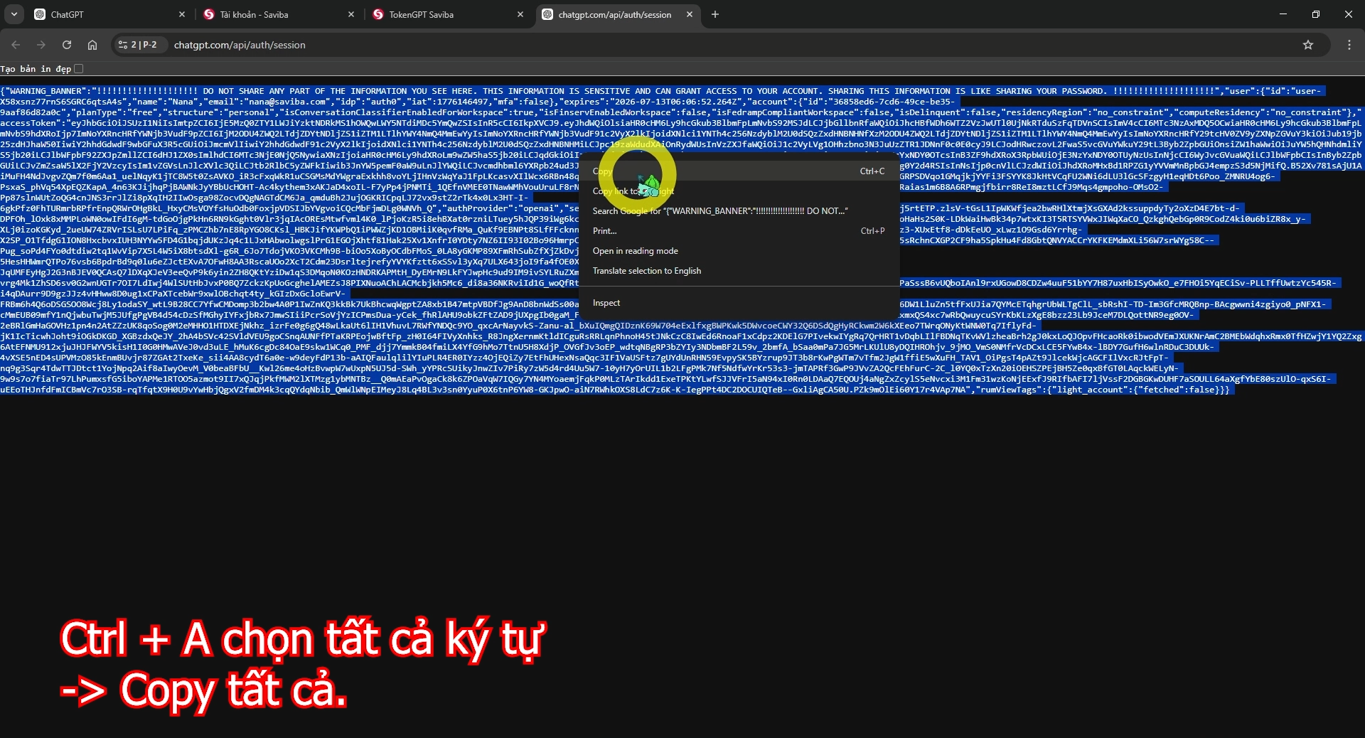Saviba.com-GPT-Plus-Sieu-Re-003.png