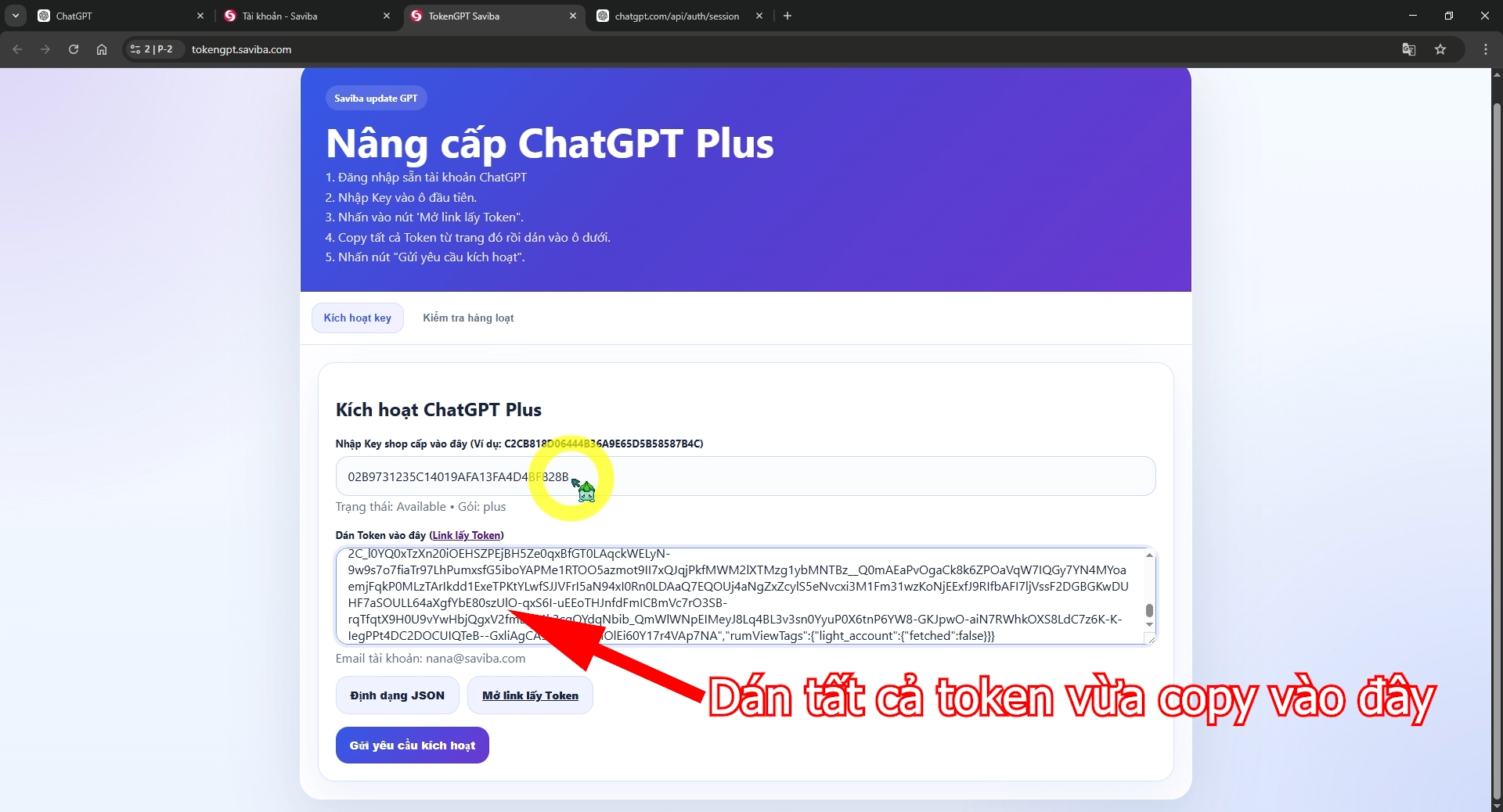 Saviba.com-GPT-Plus-Sieu-Re-004.png